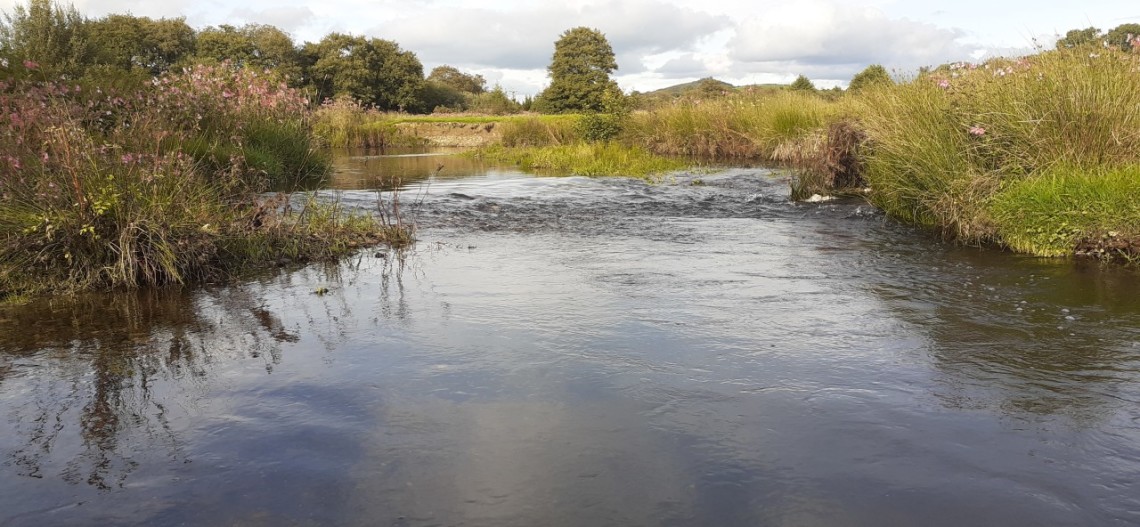 River Cammarch - Joe Alexander from Rhayader